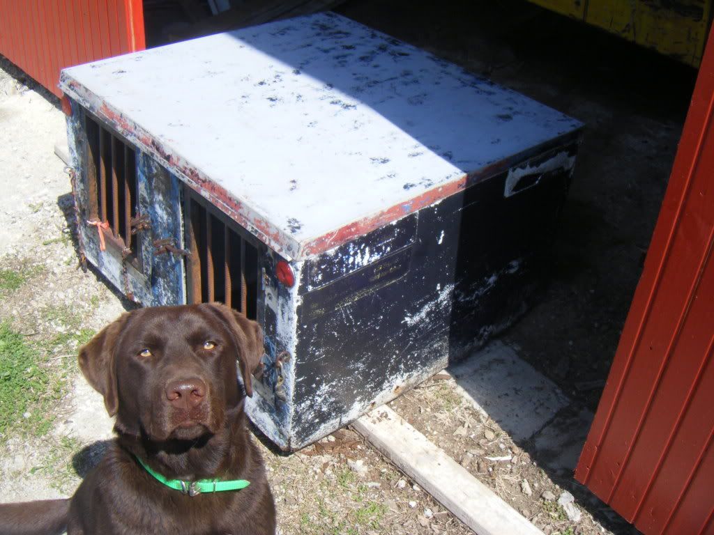 Dog Box For Sale or Trade. : Duck Hunting Chat Classifieds