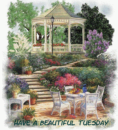 tuesday comments Pictures, Images and Photos