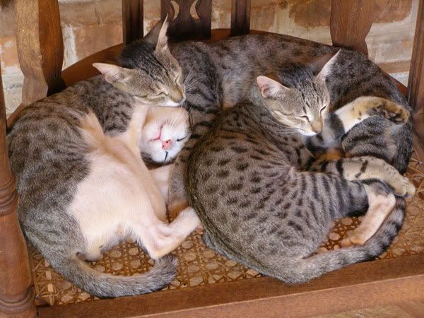 [Image: sleepy02.jpg]