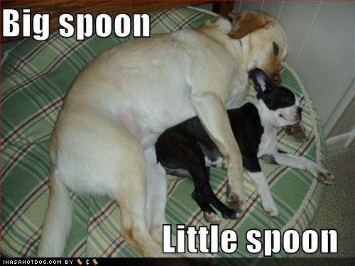 spoon! Pictures, Images and Photos