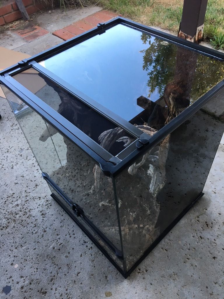 Modding exo terra top glass thickness Dendroboard
