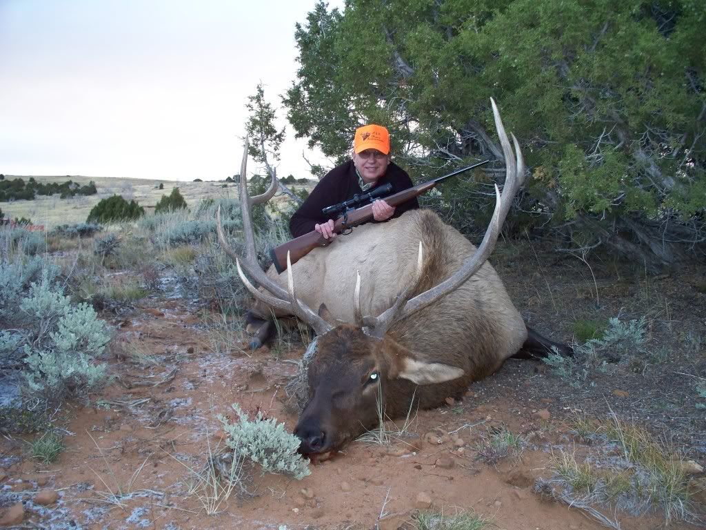 Elk09002.jpg