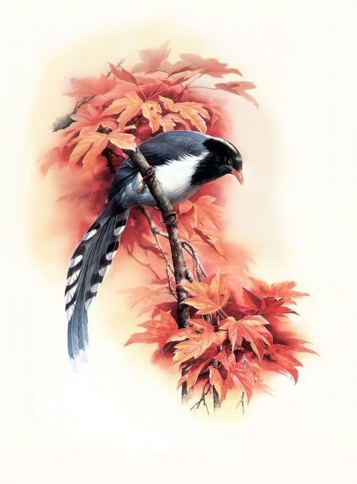 Amazing Artwork Pictures of Birds