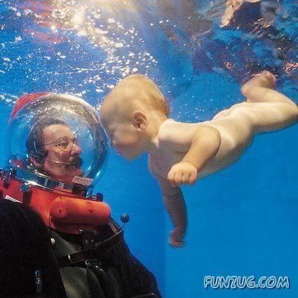 Have You Seen Swimming Babies?
