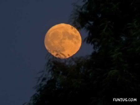 Ever Played with Moon Like This?