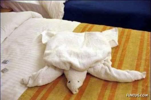 Try Making Such Wonderful Creations With Towel