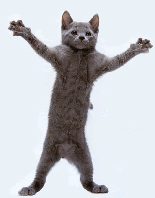 Funny Animated Pictures