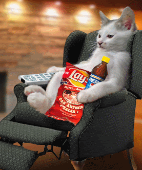 Funny Animated Pictures