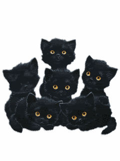 Funny Animated Pictures