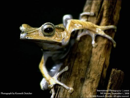 Best International Photography Contest Awards