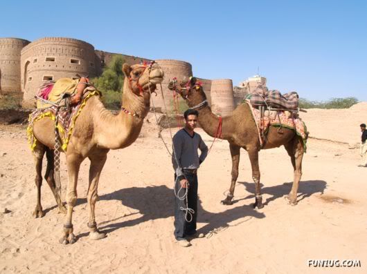 Derawar Fort: Large Square Fortress in Pakistan