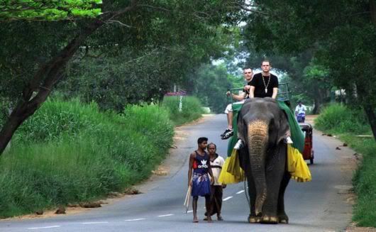 The Incredible Sri Lanka