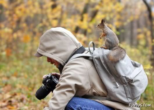 Cutest Squirrels Excellent Photography