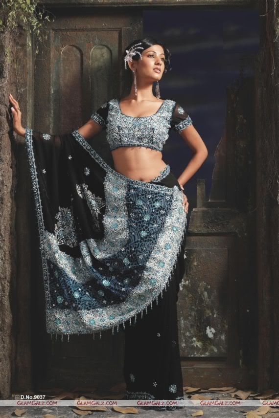 Jannat Girl Sonal Chauhan in Saree