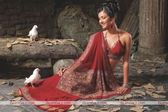 Jannat Girl Sonal Chauhan in Saree