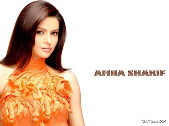 Click to Enlarge - Pretty Aamna Sharif Wallpapers