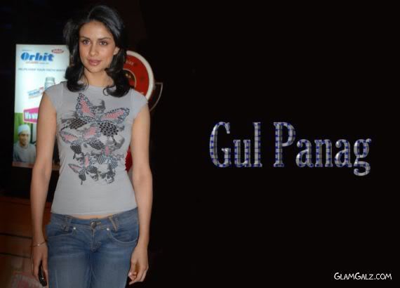 Click to Enlarge - Gorgeous Indian Beauty Gul Panag Walls