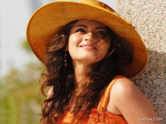 Click to Enlarge - Pretty Sneha Ullal Wallpapers