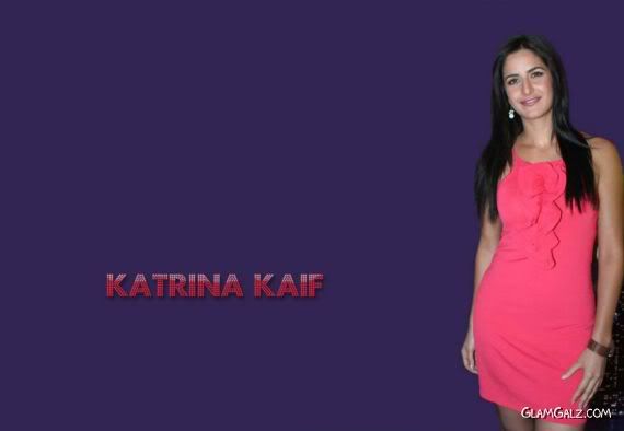Click to Enlarge -Gorgeous Katrina Kaif Wallpapers