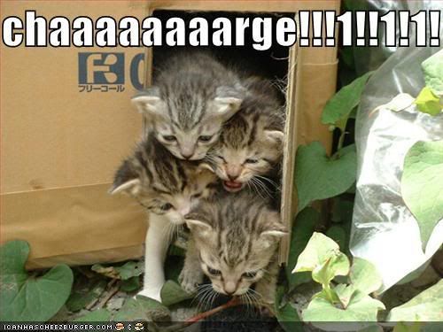 funny-pictures-kittens-charge-box.jpg