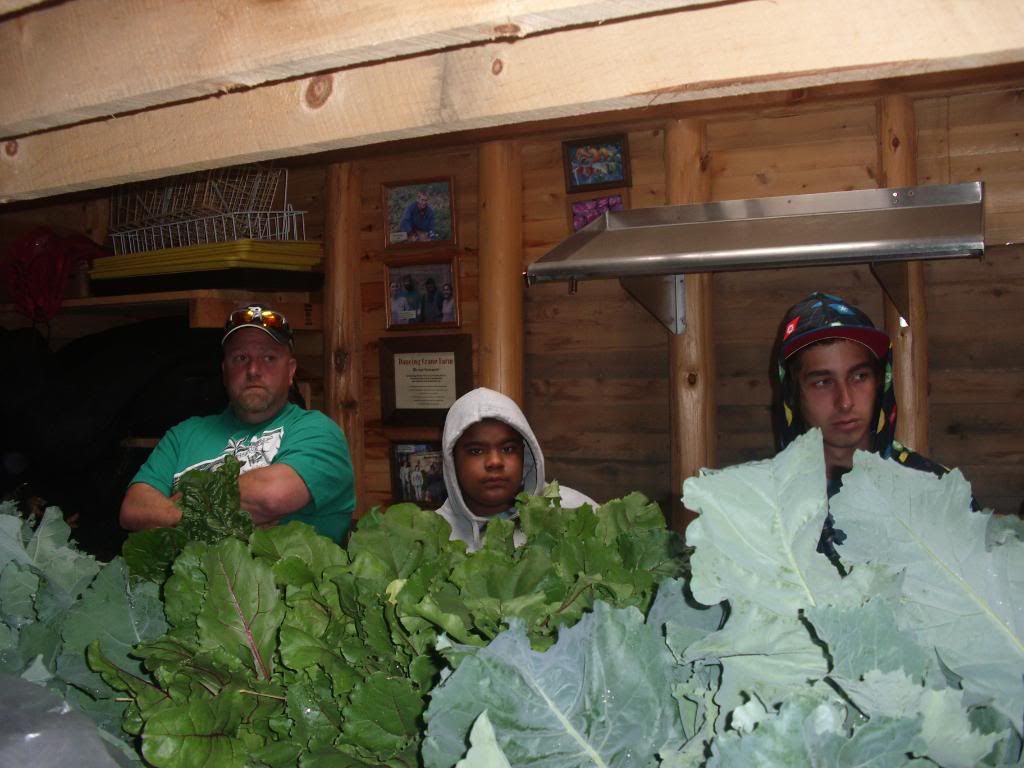 Erika Niebler,Gather'n Greens,Lee Ossenheimer,Dr. Lisa Long,Negaunee Township,MI,Dead River,Michigan,bees,honey,mushrooms,seedlings,transplanting,peppers,tomatoes,herbs,basil,children,nature,organic,Jesse Ossenheimer