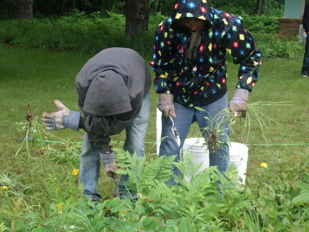 Erika Niebler,Gather'n Greens,Lee Ossenheimer,Dr. Lisa Long,Negaunee Township,MI,Dead River,Michigan,bees,honey,mushrooms,seedlings,transplanting,peppers,tomatoes,herbs,basil,children,nature,organic,Jesse Ossenheimer