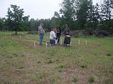 Erika Niebler,Gather'n Greens,Lee Ossenheimer,Dr. Lisa Long,Negaunee Township,MI,Dead River,Michigan,bees,honey,mushrooms,seedlings,transplanting,peppers,tomatoes,herbs,basil,children,nature,organic,Jesse Ossenheimer