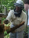 Erika Niebler,Gather'n Greens,Lee Ossenheimer,Dr. Lisa Long,Negaunee Township,MI,Dead River,Michigan,bees,honey,mushrooms,seedlings,transplanting,peppers,tomatoes,herbs,basil,children,nature,organic,Jesse Ossenheimer