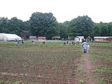 Erika Niebler,Gather'n Greens,Lee Ossenheimer,Dr. Lisa Long,Negaunee Township,MI,Dead River,Michigan,bees,honey,mushrooms,seedlings,transplanting,peppers,tomatoes,herbs,basil,children,nature,organic,Jesse Ossenheimer