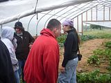 Erika Niebler,Gather'n Greens,Lee Ossenheimer,Dr. Lisa Long,Negaunee Township,MI,Dead River,Michigan,bees,honey,mushrooms,seedlings,transplanting,peppers,tomatoes,herbs,basil,children,nature,organic,Jesse Ossenheimer