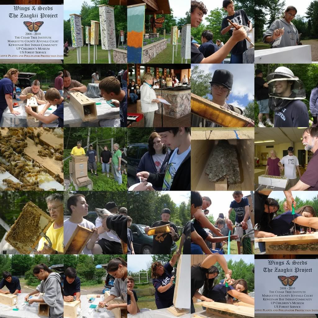KBIC Zaagkii Wings and Seeds Project contact info and web links collage20 EW delegates come together and share their volunteer and community projects, ...