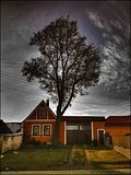 Obrázek