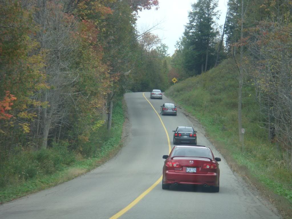 fall2008001.jpg