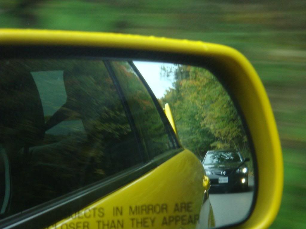 fall2008003.jpg