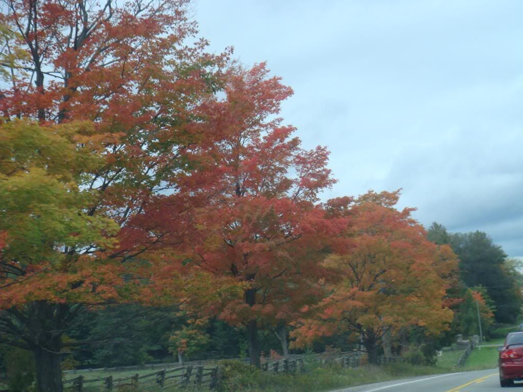 fall2008004.jpg