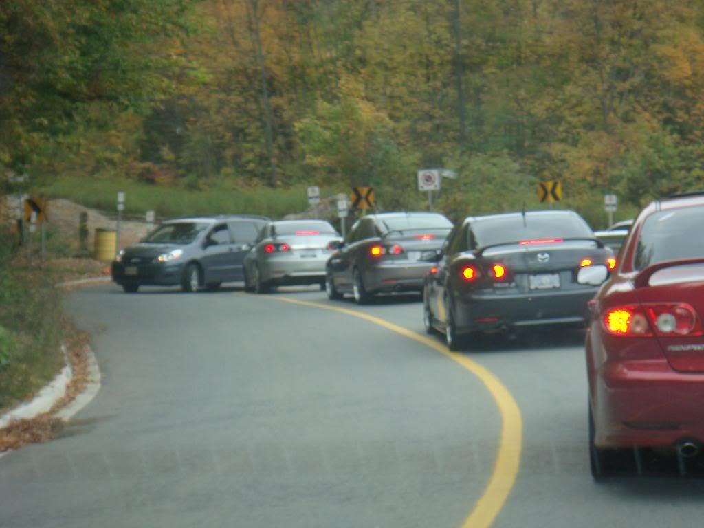 fall2008007.jpg