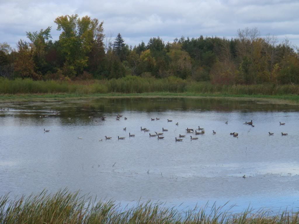 fall2008013.jpg