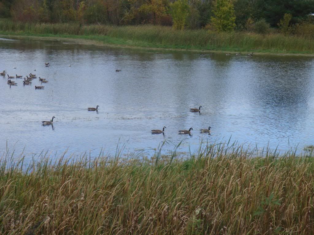 fall2008016.jpg