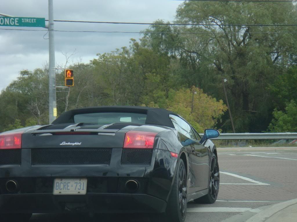 fall2008024.jpg