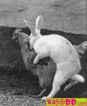 Are U Mating Me Pictures, Images and Photos