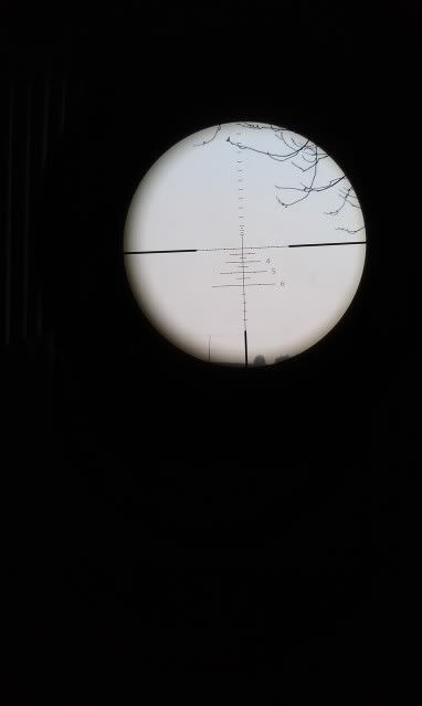 IMAG0796.jpg