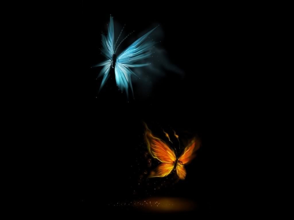 buterflies Pictures, Images and Photos