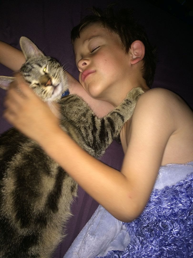  photo June112015 024_zpsgtcrajzu.jpg