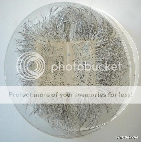 Amazing Artwork with Books