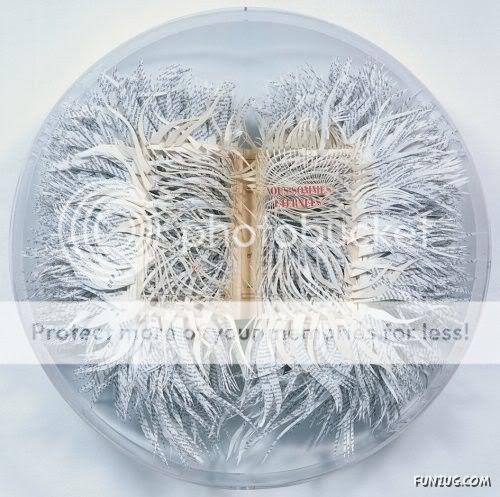 Amazing Artwork with Books