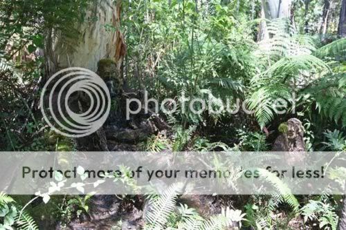 Unusual Sculpture Artworks Made With Wood