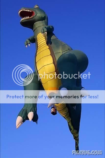 Amazing Balloon Festival in Canada