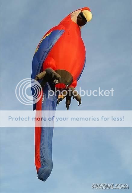 Amazing Balloon Festival in Canada