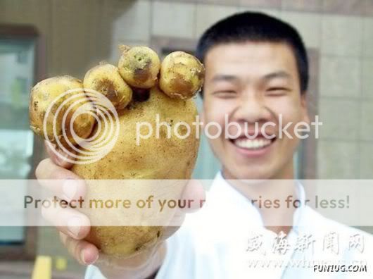 Funny Pix for Fun Lovers