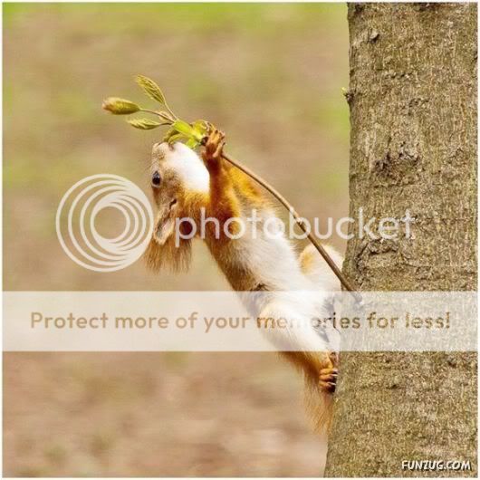 Funny Pix for Fun Lovers